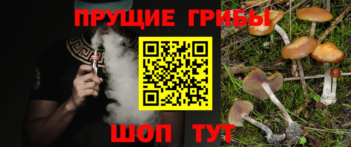 Псилоцибиновые грибы GOLDEN TEACHER Дедовск