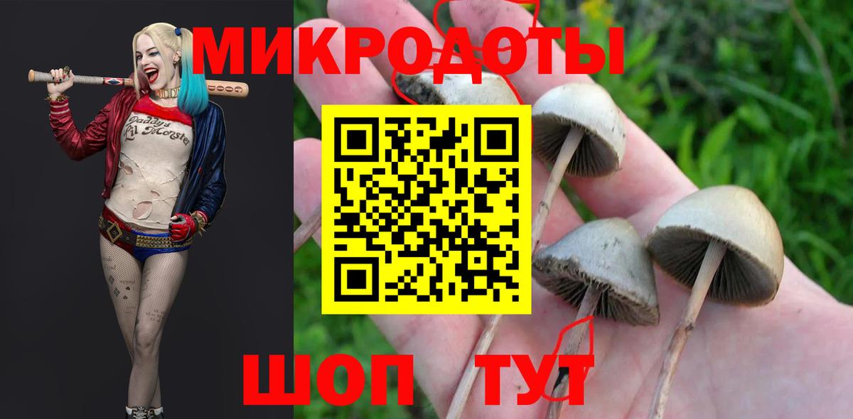 где можно купить наркотик  Псилоцибиновые грибы прущие грибы  Вход с VPN  Дедовск 